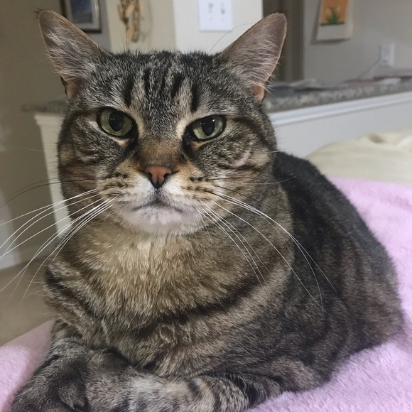 Meet your Posher, Anke - Picture 1 of 1